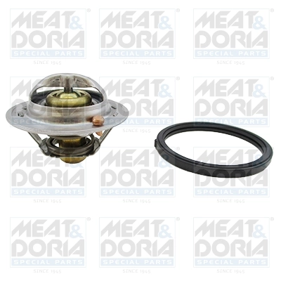Thermostat, coolant